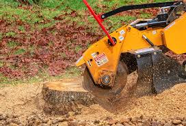 How Our Tree Care Process Works  in  Lake Grove, NY
