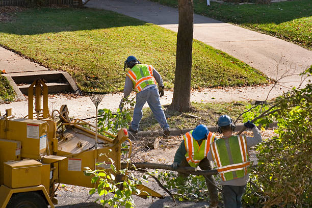 Lawn Watering Services in Lake Grove, NY